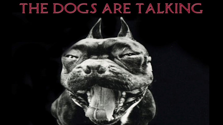 The Dogs Are Talking